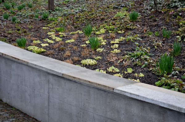 Cost of Concrete Wall Pouring in Concord