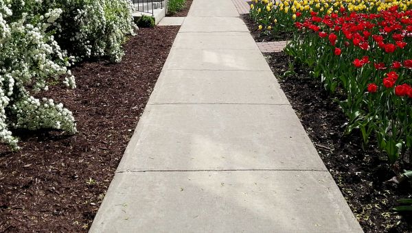 Cost of Cement Sidewalk Installation in Concord