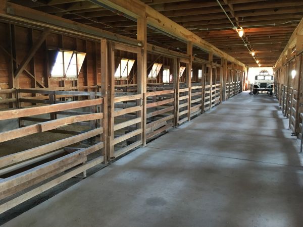 Cost of Barn Floor Pouring in Concord